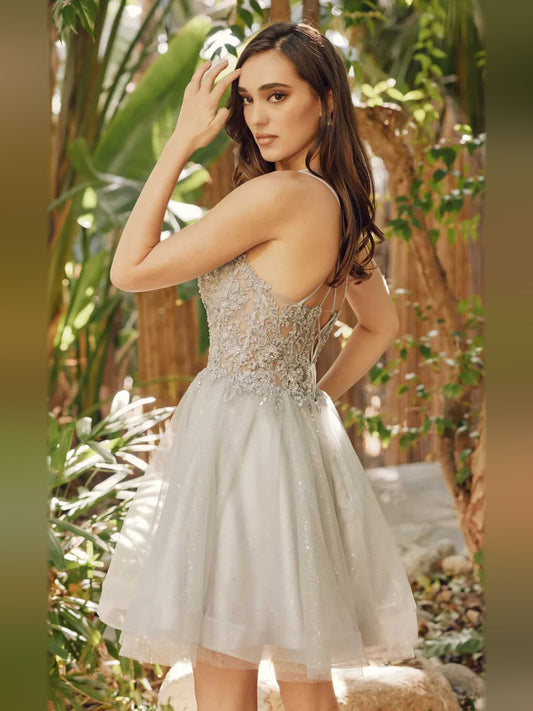 Silver short homecoming dress, back view showing the rear of the dress