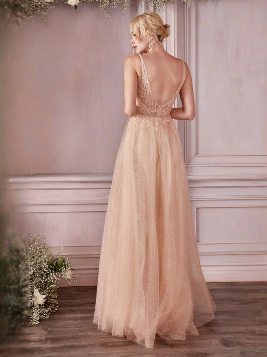 Blush Pink floor-length prom dress, back view showing the rear of the dress