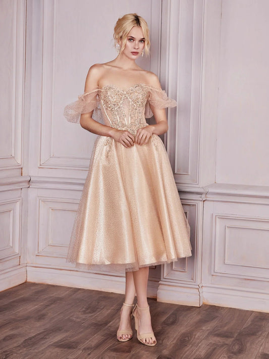Champagne tea-length prom dress, front view showing the a-line silhouette