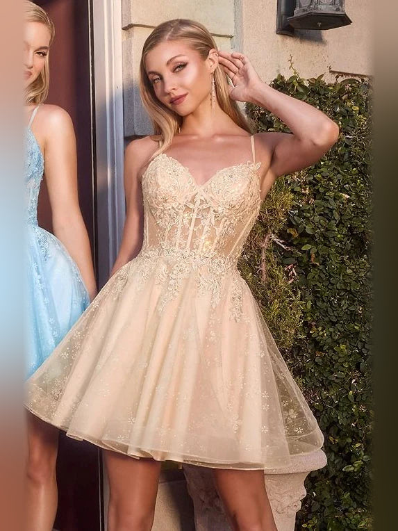 Corset Floral Sweetheart A-Line Mini Tulle Homecoming Dress for Festive Dinner